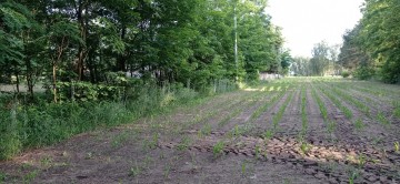 Sprzedam atrakcyjną działkę budowlaną z aktualną WZ