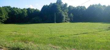 Sprzedam atrakcyjną działkę siedliskową 55 ar cena 69000zł