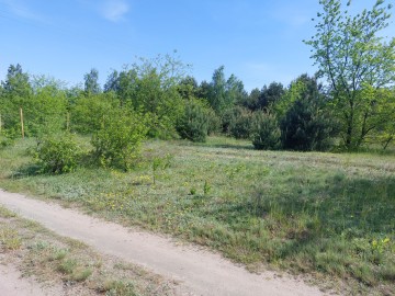 Dzialka budowlana Rosocha -Kolonia