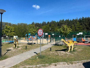 Domy na sprzedaż Zychlin ul Cisowa