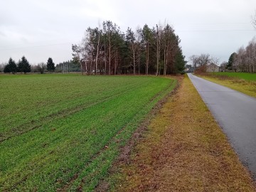 Dzialka budowlana budzisław stary spokojna okolica