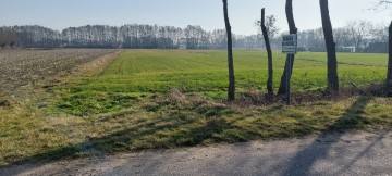 Działka z prawem zabudowy 1,27 ha Marcewek, pow. Słupca