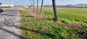 Działka z prawem zabudowy 1,27 ha Marcewek, pow. Słupca