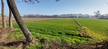 Działka z prawem zabudowy 1,27 ha Marcewek, pow. Słupca