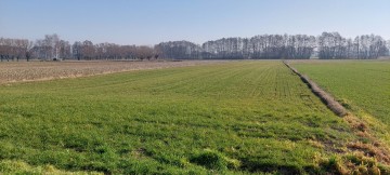 Działka z prawem zabudowy 1,27 ha Marcewek, pow. Słupca
