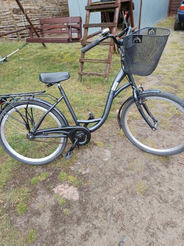 rower damka holland bike koło 62 koszyk jednobiegowa