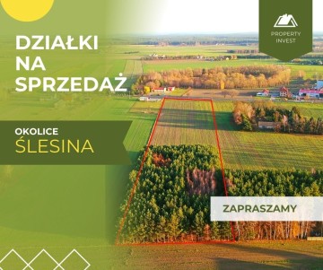 Okolice Ślesina – Działki Budowlane z Warunkami zabudowy