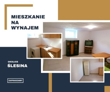 WYNAJMĘ MIESZKANIE – OKOLICE ŚLESINA
