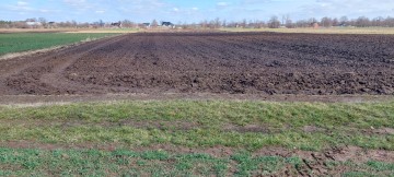 Grunt rolny 4,34 ha Cichów, Brudzew, pow. Turek
