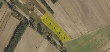 Sprzedam 2 ostatnie działki budowlane w Kramsku-43.000zł