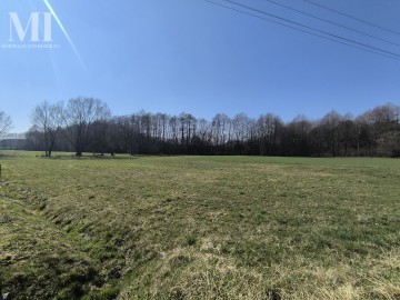 Działka z WZ Krągola gm. Stare Miasto