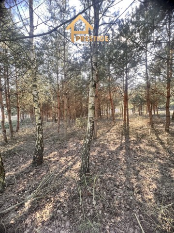 Działki budowlane w leśnej oazie spokoju,Przyborów
