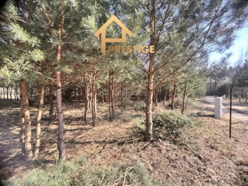 Działki budowlane w leśnej oazie spokoju,Przyborów