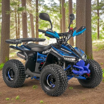 Quad Asix Muddy 110ccm
