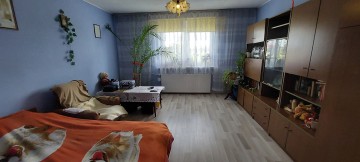 Dom + 5,72 ha Góraj gm. Babiak