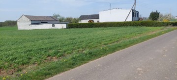 Dom + 5,72 ha Góraj gm. Babiak