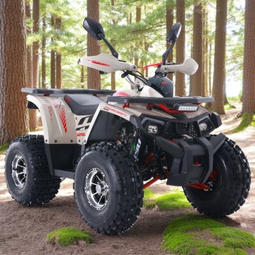 Asix Fourcraft 125 quad