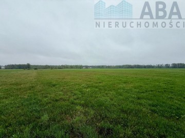 Młyny Piekarskie gm.Dobra-działka rolna na sprzedaż 6,2374ha