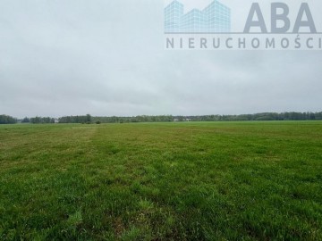 Młyny Piekarskie gm.Dobra-działka rolna na sprzedaż 6,2374ha