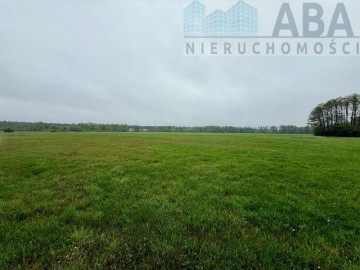 Młyny Piekarskie gm.Dobra-działka rolna na sprzedaż 6,2374ha