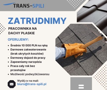 BELGIA DACHY PŁASKIE