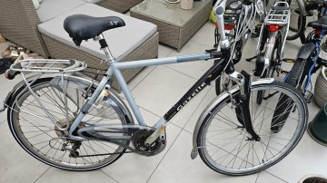 Gazelle medeo