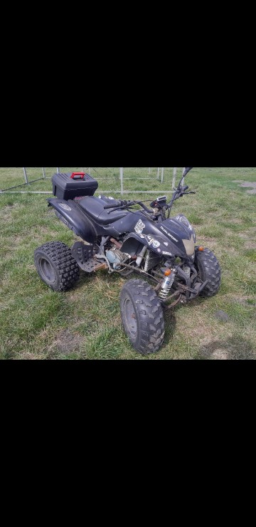 Bashan 200