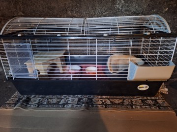 Sprzedam klatkę dla królika miniaturki