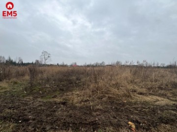 Duża Działka