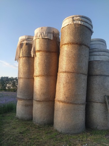 Słoma