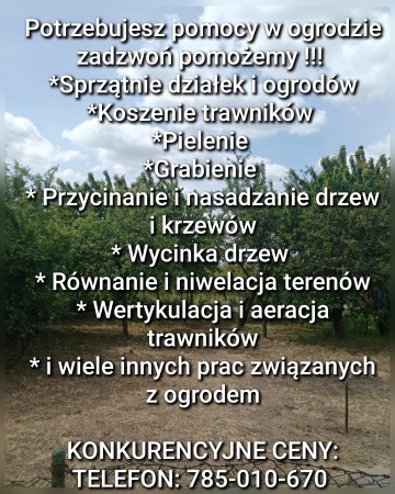 Sprzątanie działek rod