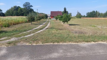 Dom+8ha, Babiak, Krukowo