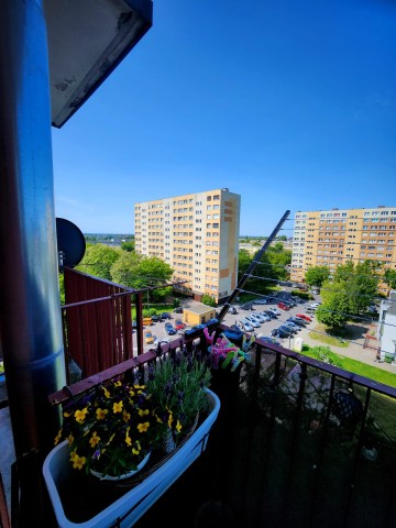 Konin, V osiedle - 48,17 m2 - 3 pok. - balkon