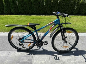 Rower Giant 24"
