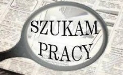 Poszukuję pracy na 1 m-c