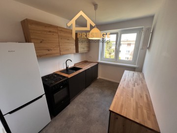 Na wynajem mieszkanie 2 pokoje-50m2 Konin