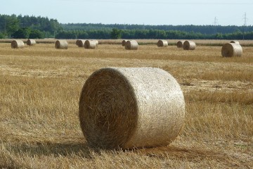 Sprzedam słome