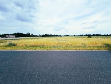 Sielskie klimaty wsi w gm. Krzymów