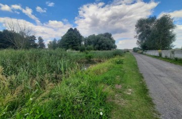 Sprzedam dom ze stawem-działka 5814m2-Konin-Osada