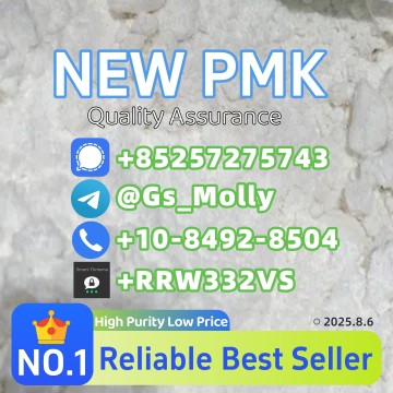 P M K Methyl G.lycidate P.owder 28578-16-7 | 99.5%+ Purity